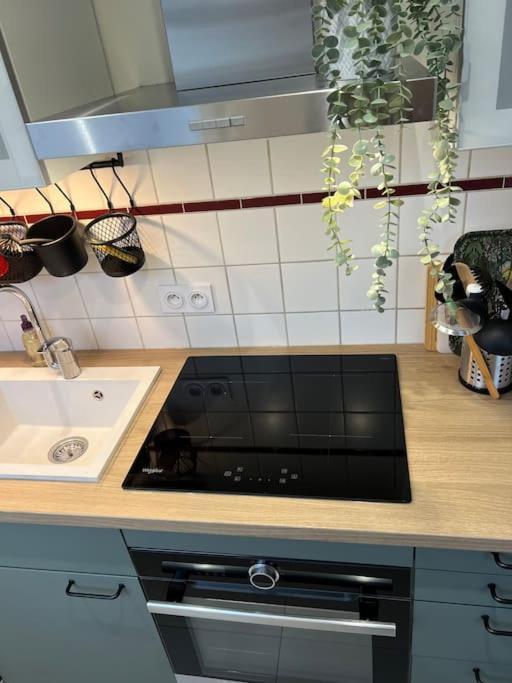 Adorable Appartement Strasbourg Neudorf Parking Sous Sol Estrasburgo Exterior foto