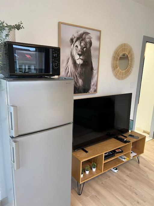 Adorable Appartement Strasbourg Neudorf Parking Sous Sol Estrasburgo Exterior foto